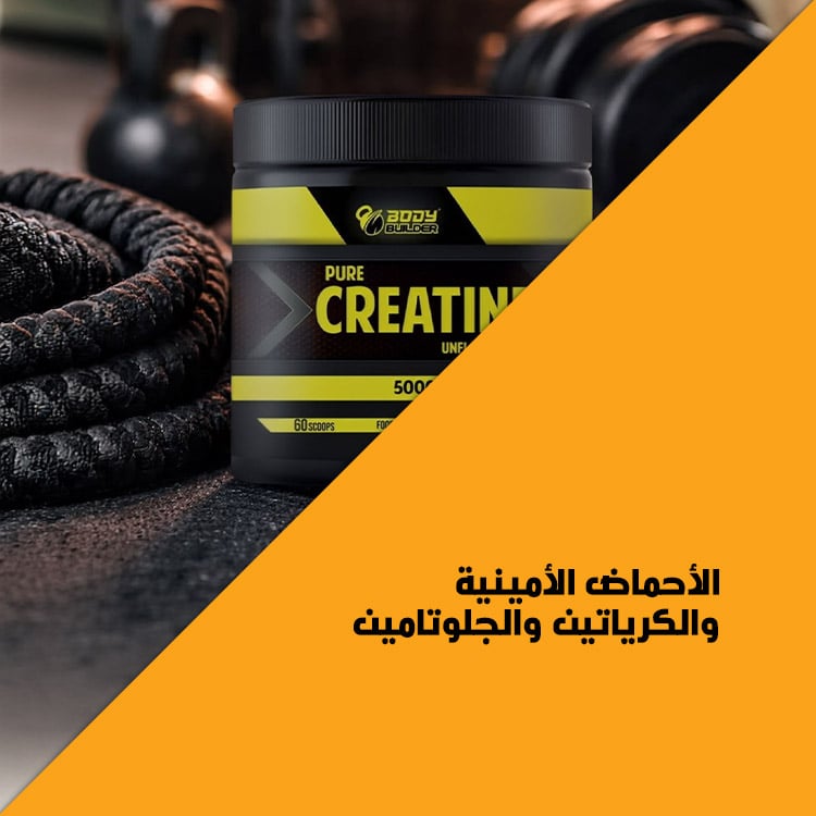 الأحماض الأمينية والكرياتين والجلوتامين