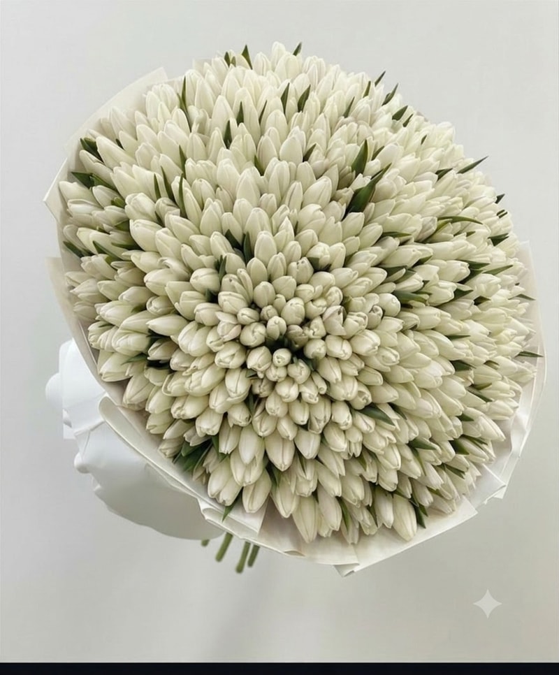 White Elegance