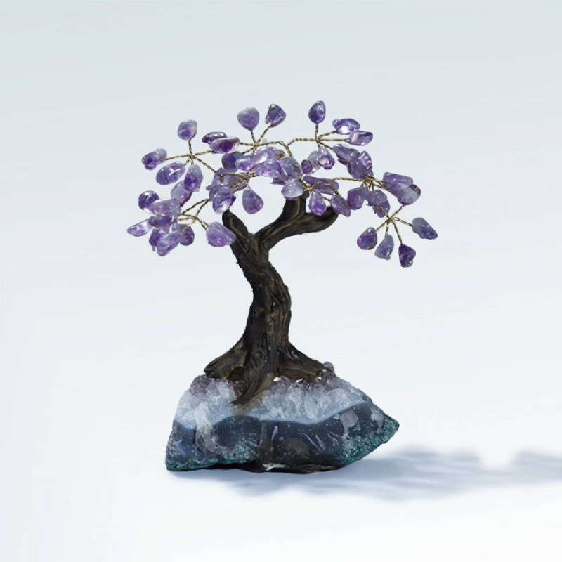 شجرة متعددة الاحجار (DELICATE)