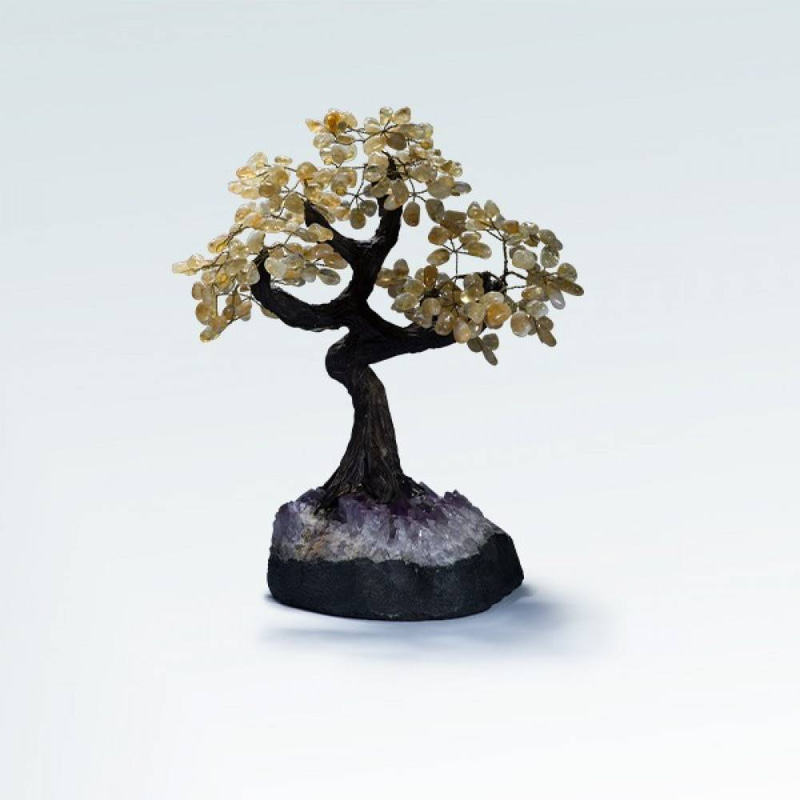 شجرة متعدد الاحجار (RAFIKI'S TREE)