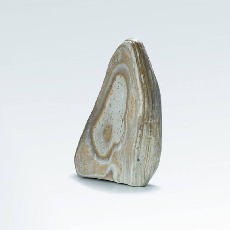 جاسبر (SATURN)