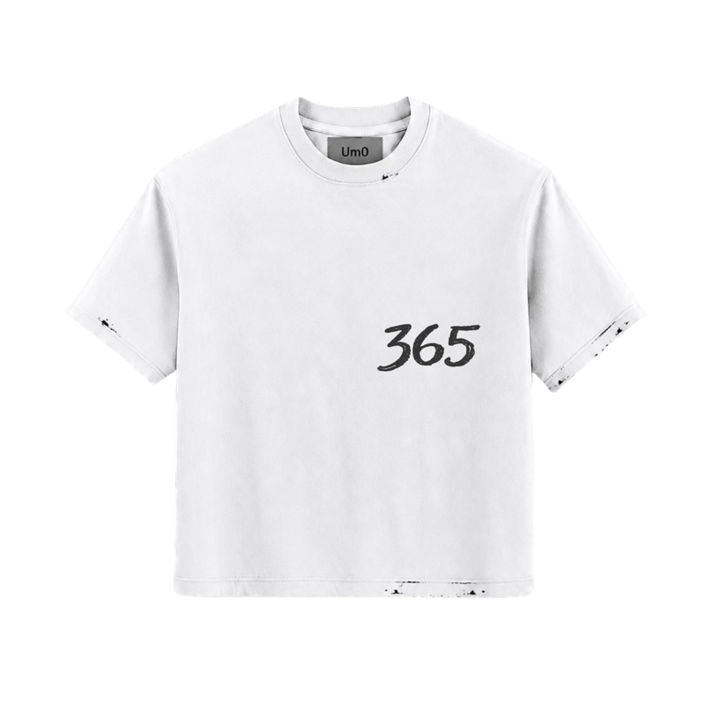 PORCCHE 365 TE
