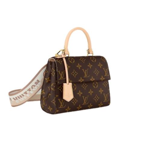 لوي فيتون Cluny mini مقاس 20 cm