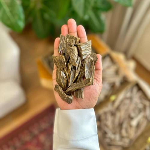عود كلمنتان - محسن