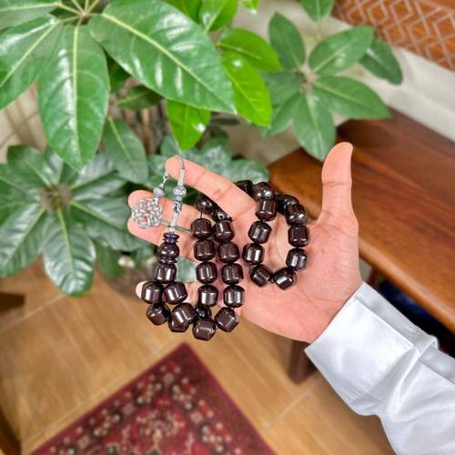 مسباح زعفراني حرباء راهي
