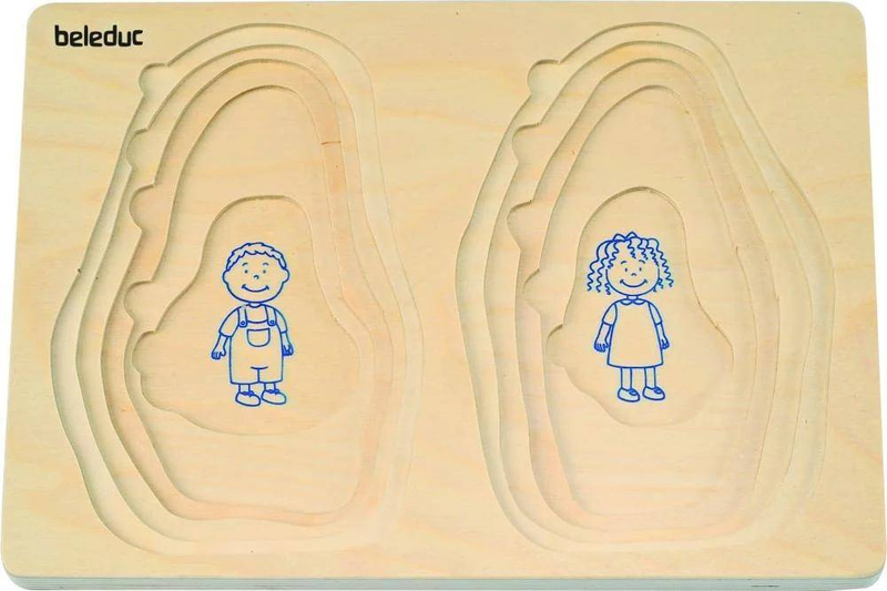 مراحل نمو الجد / الجدة
