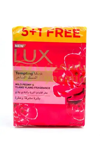 Lux Bar Soap 170g 6 Pack