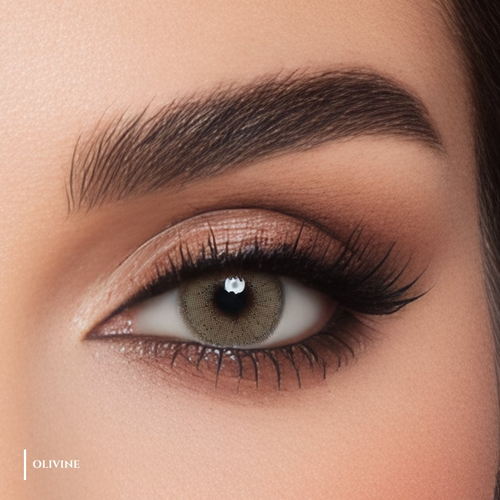 MS.Lens Daily Olivine Contact Lenses