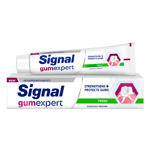 Signal Expert Gum Protection Fresh Toothpaste 75ml