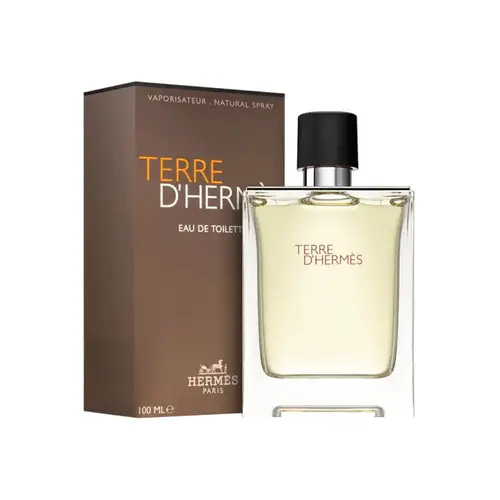 عطر هرمز تيري دي هرمز 100مل