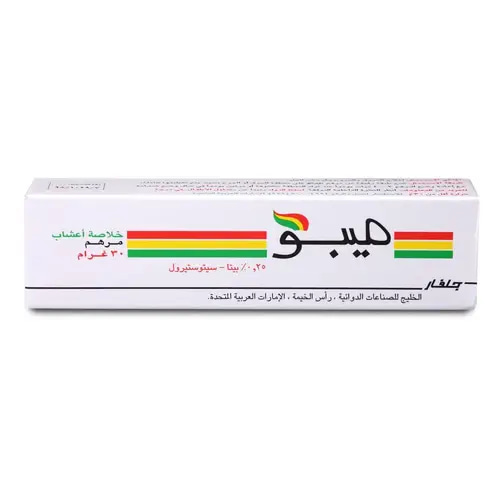 Meboo Ointment for Burns and Wound Healing 30g
