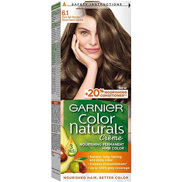 Garnier Color Naturals Dark Ash Blonde 6.1