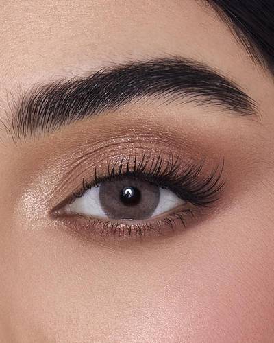 أنستازيا دريم أديكت تيرا 