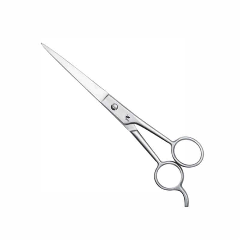 Professional Hair Cutting Scissors