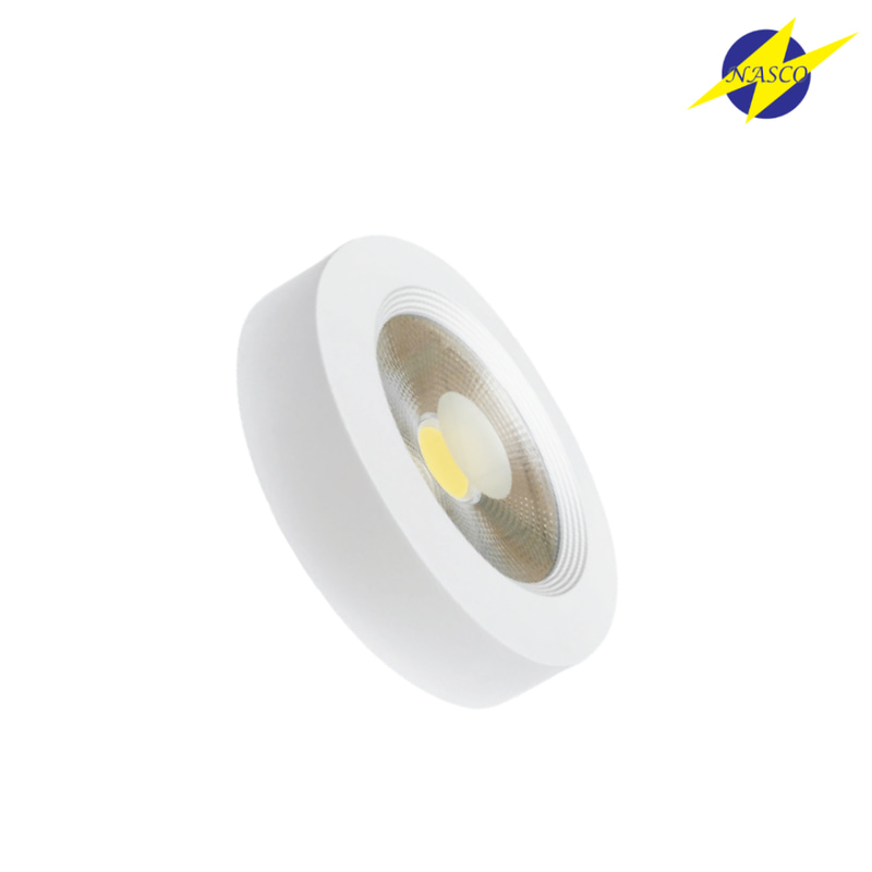 30‑watt external COB light- NASCO