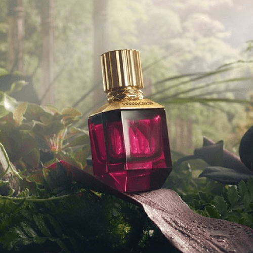 عطر باراديسو فاوند من روبرتو كفالي للنساء - اي دي بارفيوم50مل