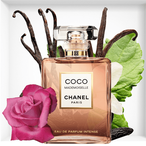 شانيل عطر كوكو مودموزيل للنساء - او دو بارفيوم انتنس100ml