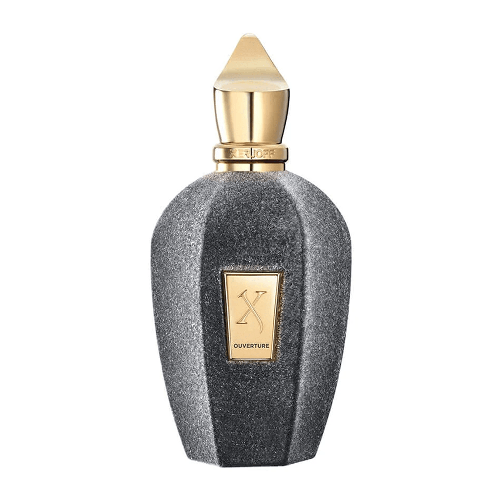 عطر أوفيرتور من اكسيرجوف - 100مل - او دي بارفيوم