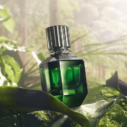 عطر باراديسو فاوند من روبرتو كفالي للرجال - اي دي تواليت75مل