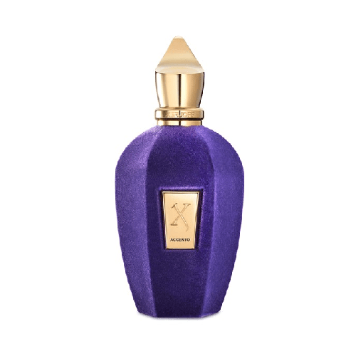 زيرجوف عطر اكسنتو - او دي بارفيوم100مل