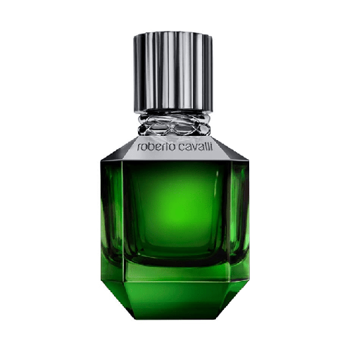 عطر باراديسو فاوند من روبرتو كفالي للرجال - اي دي تواليت75مل