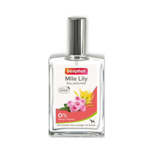 عطر لطيف للكلاب الإناث برائحة منعشة تدوم طويلًا