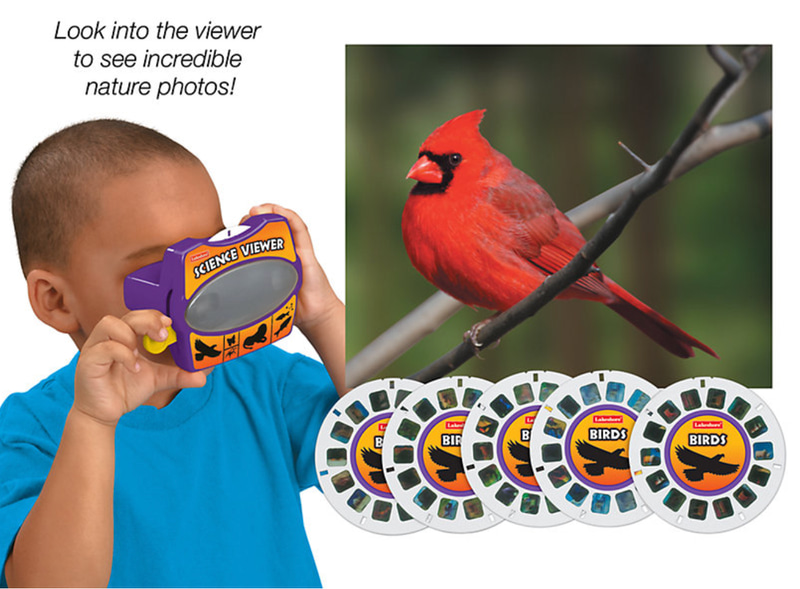 Birds Science Viewer
