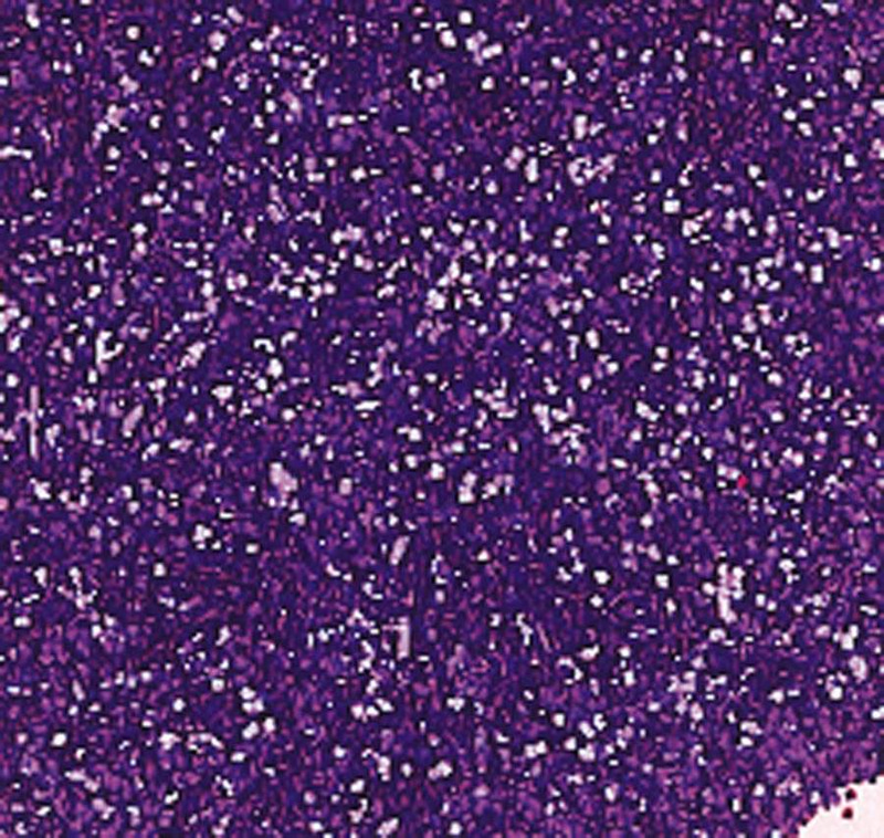 Glitter in convenient shaker jars - Purple - 453 Gram.