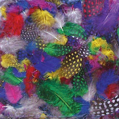Multi-Color Guinea Feathers