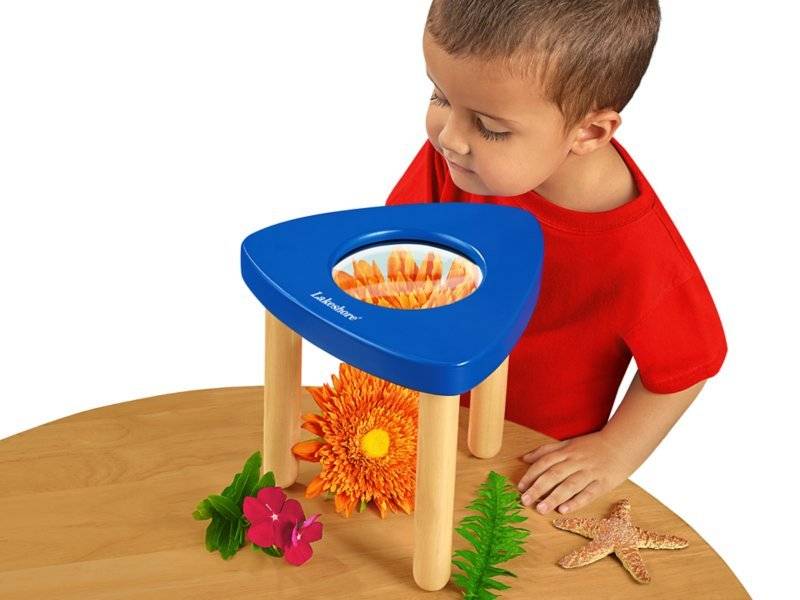 Tabletop Magnification Station