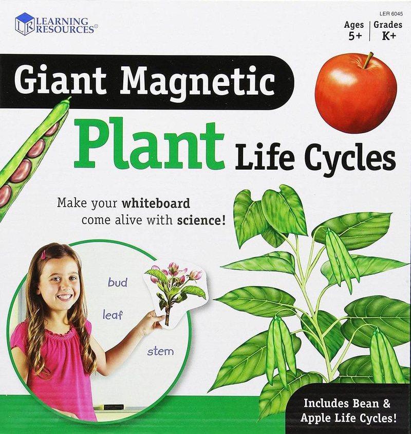 Magnetic Plant Life Cycle Demonstration Set