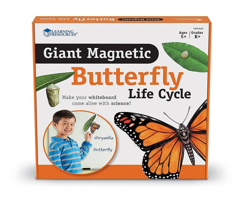 Magnetic Butterfly Life Cycle Demonstration Set