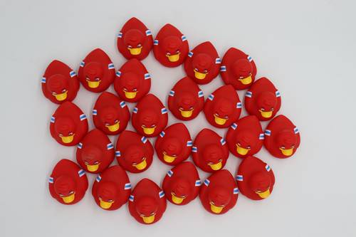 ALPHABET DUCKS