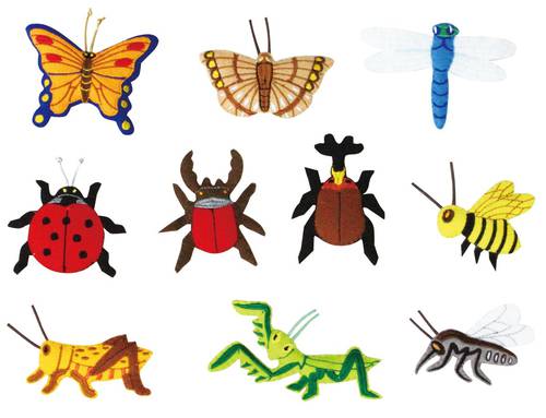 INSECTS