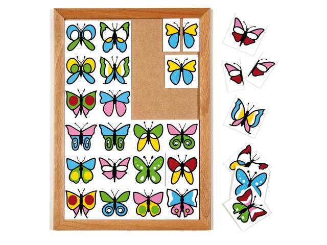 Butterfly Lott