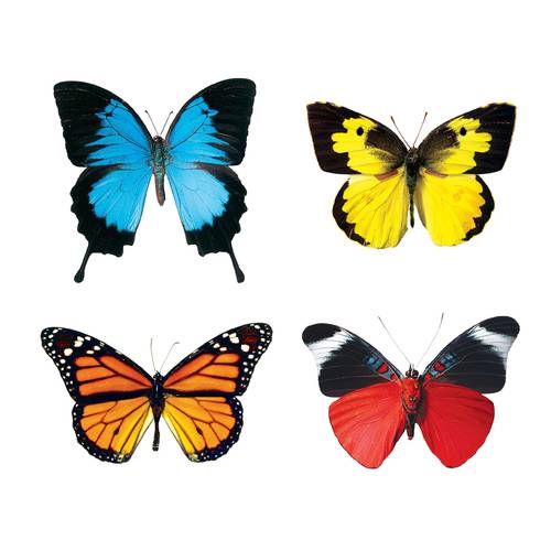 Butterflies Mini Accents Variety Pack