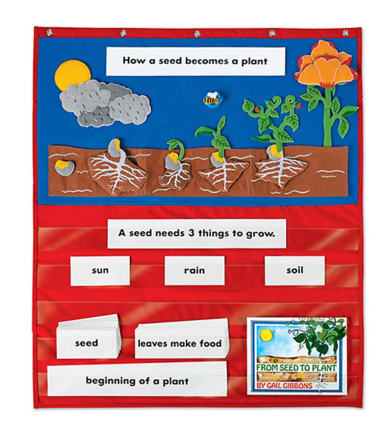 Plants & Flowers Pocket Chart Kit