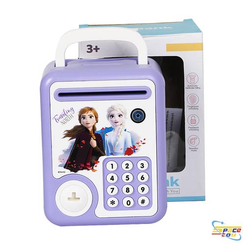 Frozen piggy bank with lock and password