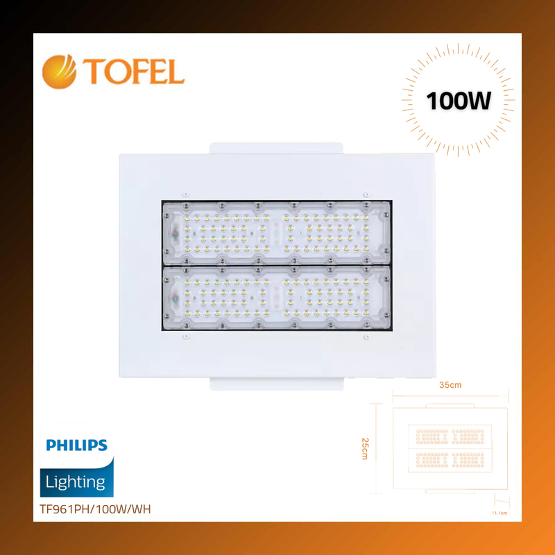 Philips transformer station floodlight, white illumination, 100 watts