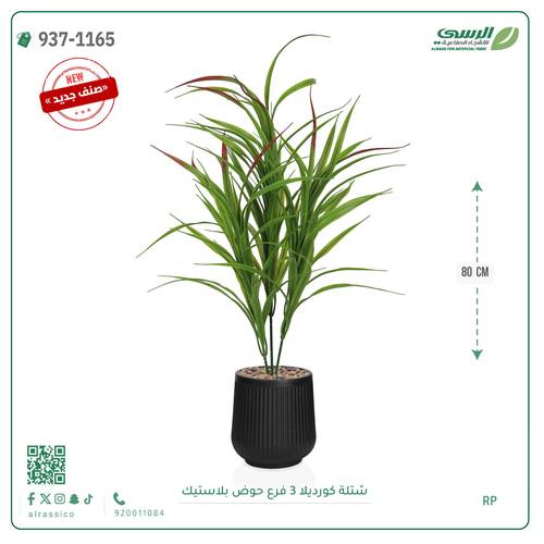 شجر كورديلا صناعية ( ارتفاع 80 سم ) حوض بلاستك