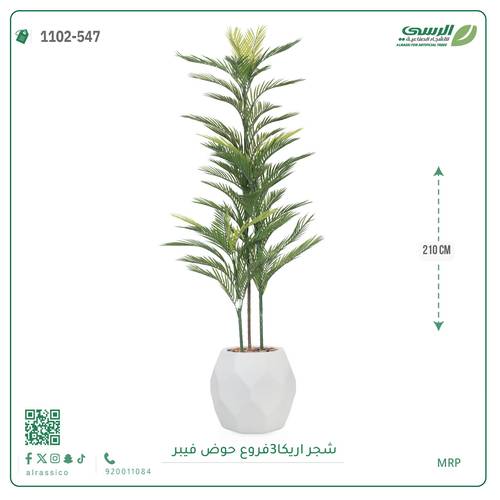 شجرة أريكا اصطناعية (3 فرع) بمركن فيبر