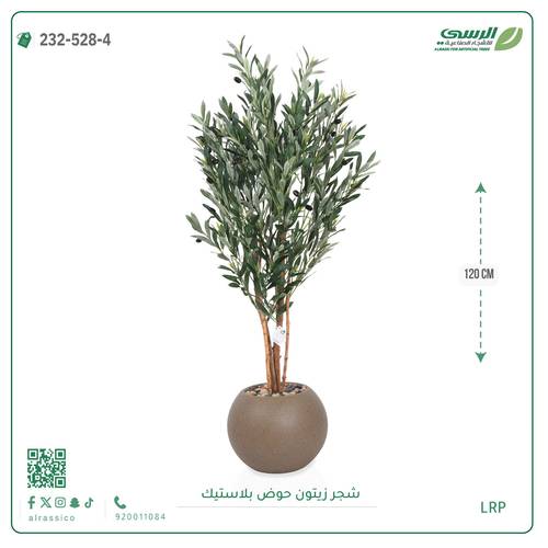 شجرة زيتون اصطناعية (4 فروع) بمركن بلاستيك دائرى 