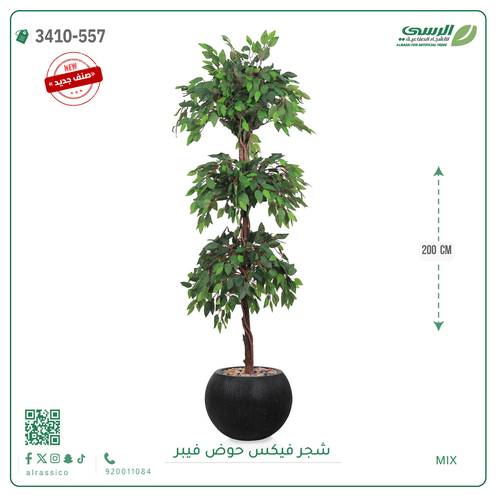شجر فيكس صناعية ( ارتفاع 200 سم ) حوض فيبر