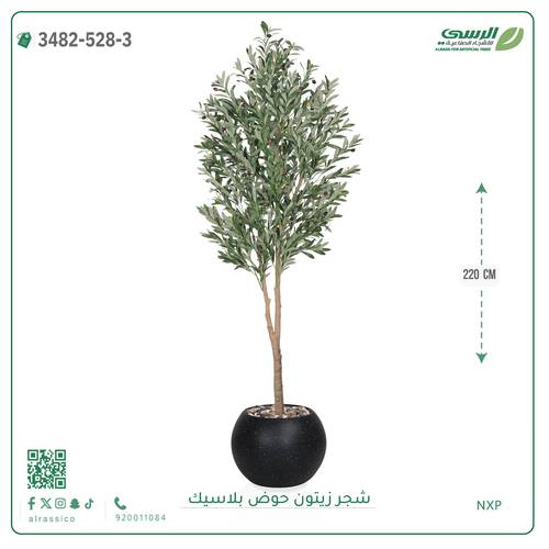 شجرة زيتون صناعية ( ارتفاع 220 سم ) حوض بلاستك