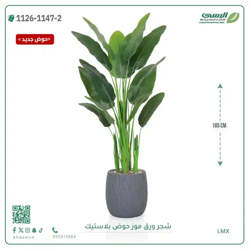 شجرة موز صناعية ( ارتفاع 185 سم ) حوض بلاستيك