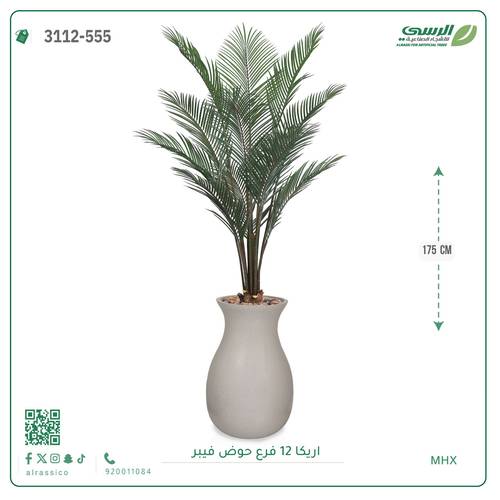 شجر أريكا صناعية ( ارتفاع 175 سم ) حوض فيبر