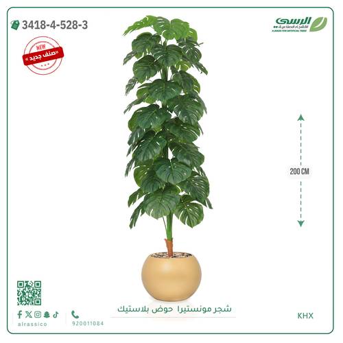 شجرة مونستيرا صناعية ( ارتفاع 200 سم ) حوض بلاستيك