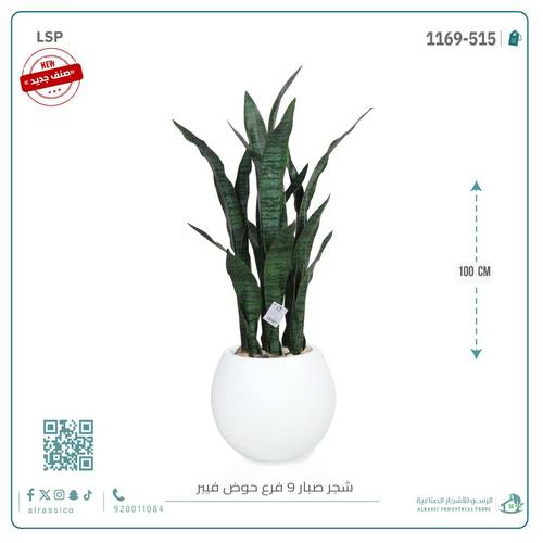 صبار جلد النمر بحوض فيبر بيضوي