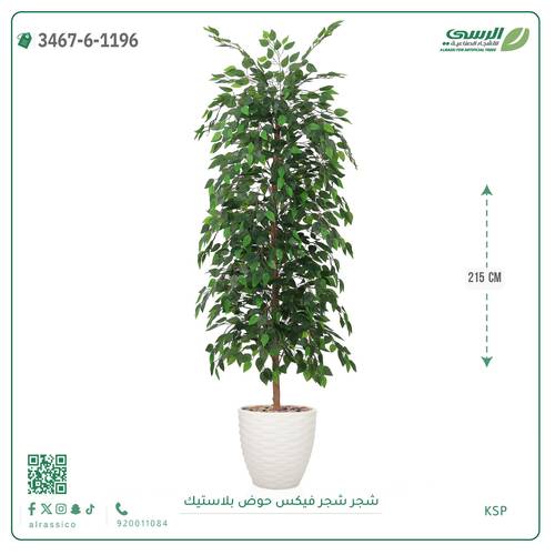 شجرة فيكس صناعية ( ارتفاع 215 سم ) حوض بلاستك