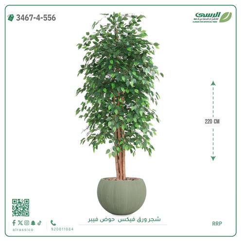 شجرة فيكس اصطناعية ( ارتفاع 220 سم ) حوض فايبر